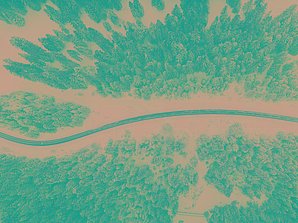 Bird eye’s view!, by Kimon Maritz