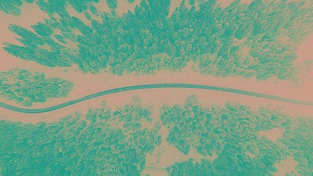 Bird eye’s view!, by Kimon Maritz