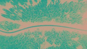 Bird eye’s view!, by Kimon Maritz