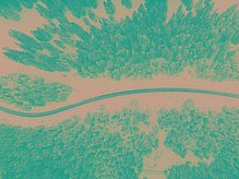 Bird eye’s view!, by Kimon Maritz