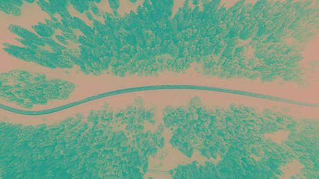 Bird eye’s view!, by Kimon Maritz